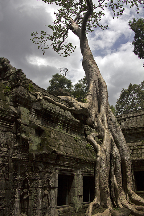 Ta Phrom - Cambodia
